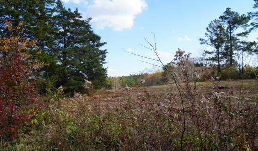 Photo #8 of 570 Old Well Road, Phenix, VA 34.6 acres