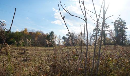 Photo #10 of 570 Old Well Road, Phenix, VA 34.6 acres