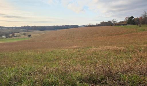 Photo #2 of Stewartsville Road, Moneta, VA 4.0 acres