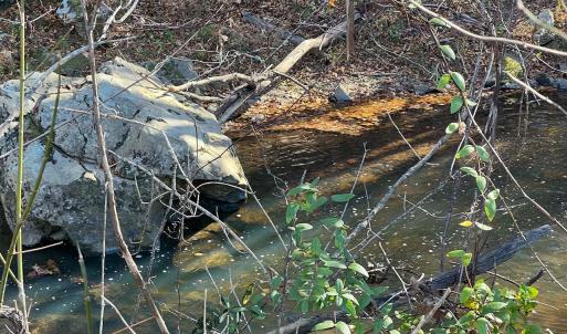 Photo #16 of 273 Airsports Dr, Amherst, VA 73.4 acres