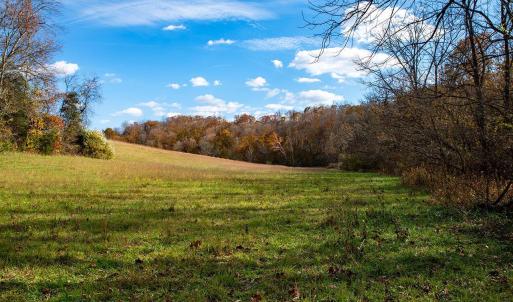 Photo #8 of 273 Airsports Dr, Amherst, VA 73.4 acres