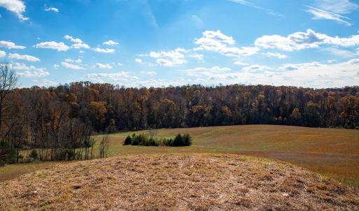 Photo #10 of 273 Airsports Dr, Amherst, VA 73.4 acres