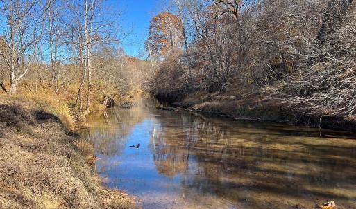 Photo #17 of 273 Airsports Dr, Amherst, VA 73.4 acres