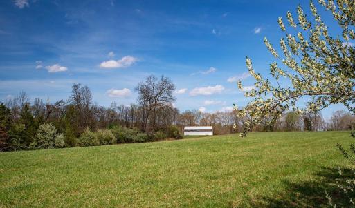 Photo #5 of 273 Airsports Dr, Amherst, VA 73.4 acres