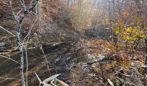 Photo #18 of 273 Airsports Dr, Amherst, VA 73.4 acres