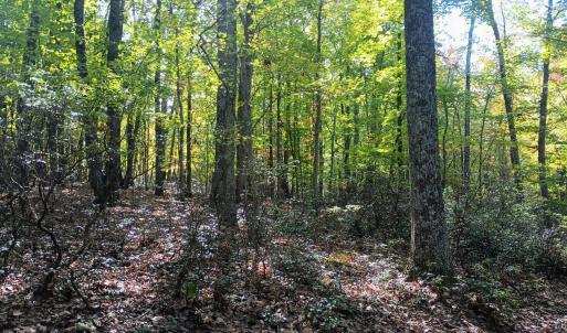 Photo #17 of Oakcrest Lane, Nellysford, VA 7.9 acres