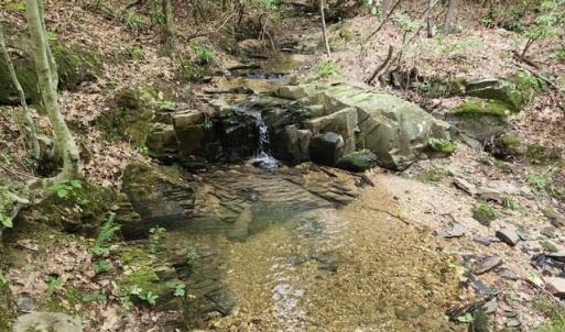 Photo #36 of Lewis Ford Road, Brookneal, VA 45.1 acres