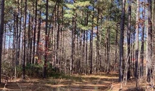 Photo #6 of Lewis Ford Road, Brookneal, VA 45.1 acres