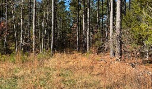 Photo #25 of Lewis Ford Road, Brookneal, VA 45.1 acres