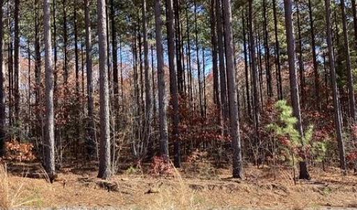 Photo #12 of Lewis Ford Road, Brookneal, VA 45.1 acres