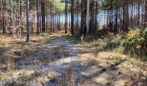 Photo #17 of Lewis Ford Road, Brookneal, VA 45.1 acres