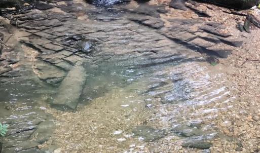 Photo #35 of Lewis Ford Road, Brookneal, VA 45.1 acres