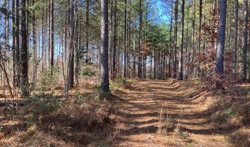 Photo #3 of Lewis Ford Road, Brookneal, VA 45.1 acres