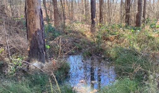 Photo #19 of Lewis Ford Road, Brookneal, VA 45.1 acres