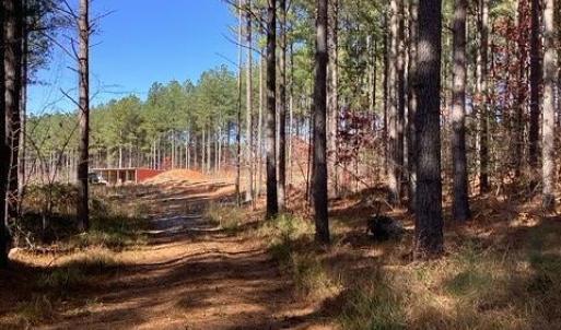 Photo #9 of Lewis Ford Road, Brookneal, VA 45.1 acres