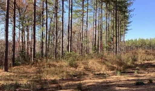 Photo #11 of Lewis Ford Road, Brookneal, VA 45.1 acres