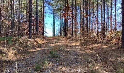 Photo #23 of Lewis Ford Road, Brookneal, VA 45.1 acres