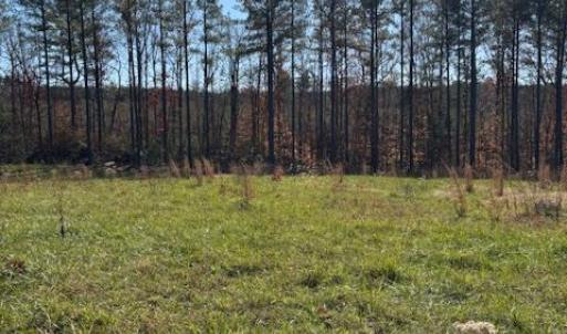 Photo #29 of Lewis Ford Road, Brookneal, VA 45.1 acres