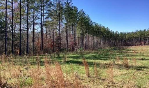 Photo #16 of Lewis Ford Road, Brookneal, VA 45.1 acres