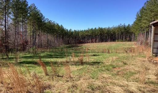 Photo #2 of Lewis Ford Road, Brookneal, VA 45.1 acres