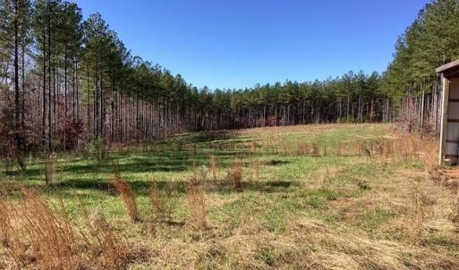 Photo #15 of Lewis Ford Road, Brookneal, VA 45.1 acres