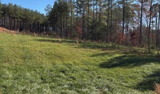 Photo #30 of Lewis Ford Road, Brookneal, VA 45.1 acres