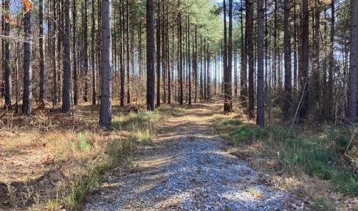 Photo #18 of Lewis Ford Road, Brookneal, VA 45.1 acres