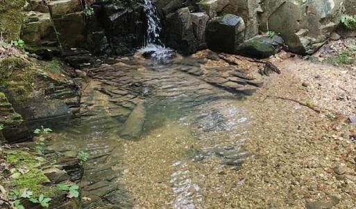 Photo #37 of Lewis Ford Road, Brookneal, VA 45.1 acres