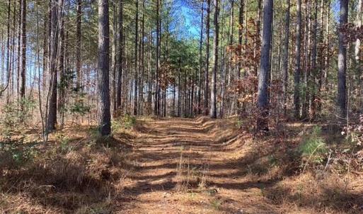 Photo #1 of Lewis Ford Road, Brookneal, VA 45.1 acres