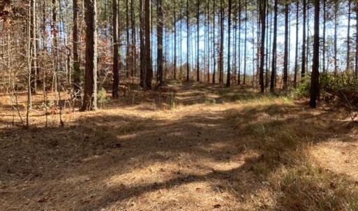 Photo #22 of Lewis Ford Road, Brookneal, VA 45.1 acres