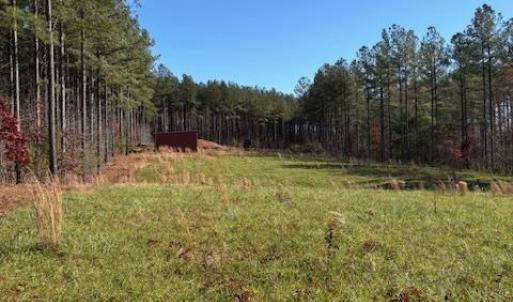 Photo #28 of Lewis Ford Road, Brookneal, VA 45.1 acres