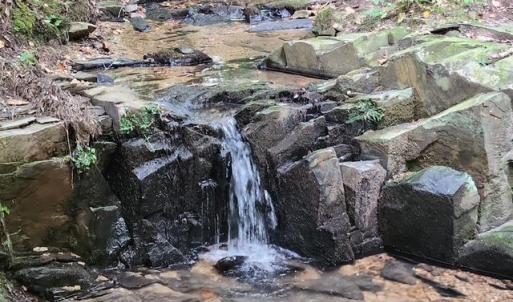 Photo #33 of Lewis Ford Road, Brookneal, VA 45.1 acres