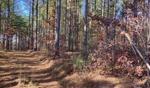 Photo #4 of Lewis Ford Road, Brookneal, VA 45.1 acres