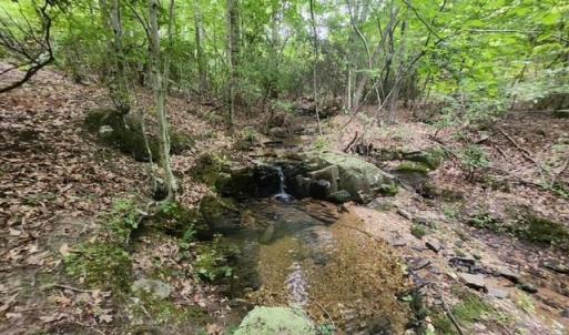 Photo #32 of Lewis Ford Road, Brookneal, VA 45.1 acres