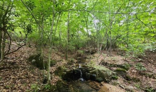 Photo #34 of Lewis Ford Road, Brookneal, VA 45.1 acres