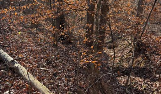 Photo #5 of Oakville Road, Gladstone, VA 1.6 acres