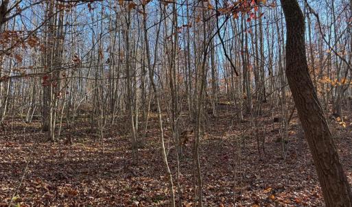 Photo #3 of Oakville Road, Gladstone, VA 1.6 acres