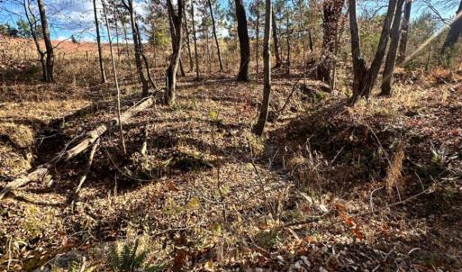 Photo #8 of Lot 2B Police Tower Rd, Appomattox, VA 14.2 acres