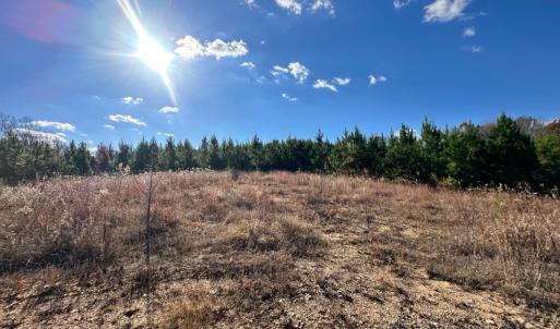 Photo #12 of Lot 2B Police Tower Rd, Appomattox, VA 14.2 acres