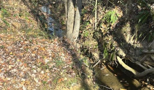 Photo #6 of Lot 2B Police Tower Rd, Appomattox, VA 14.2 acres