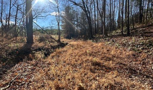 Photo #3 of Lot 2B Police Tower Rd, Appomattox, VA 14.2 acres