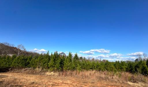 Photo #13 of Lot 2B Police Tower Rd, Appomattox, VA 14.2 acres