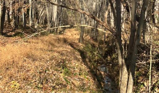 Photo #5 of Lot 2B Police Tower Rd, Appomattox, VA 14.2 acres
