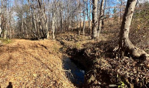 Photo #10 of Lot 2B Police Tower Rd, Appomattox, VA 14.2 acres