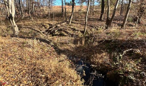 Photo #9 of Lot 2B Police Tower Rd, Appomattox, VA 14.2 acres