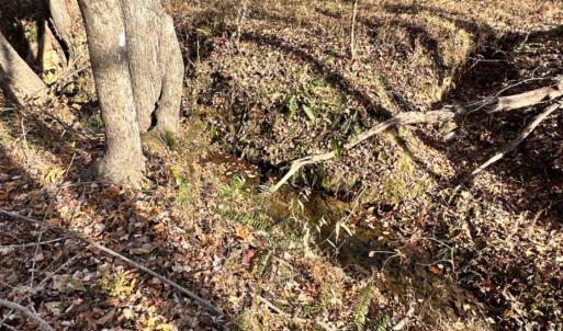 Photo #7 of Lot 2B Police Tower Rd, Appomattox, VA 14.2 acres