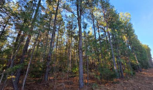 Photo #1 of Mountain Creek Road, Meherrin, VA 25.0 acres