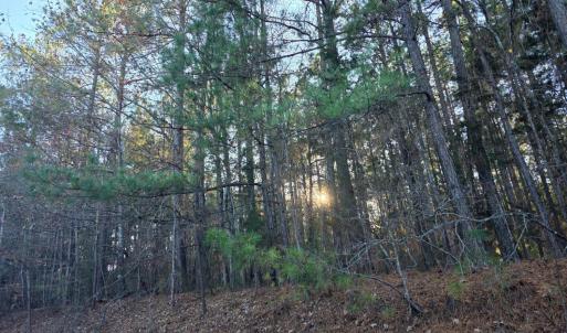 Photo #1 of Mountain Creek Road, Meherrin, VA 25.0 acres