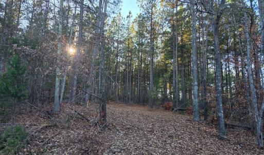Photo #2 of Mountain Creek Road, Meherrin, VA 121.0 acres