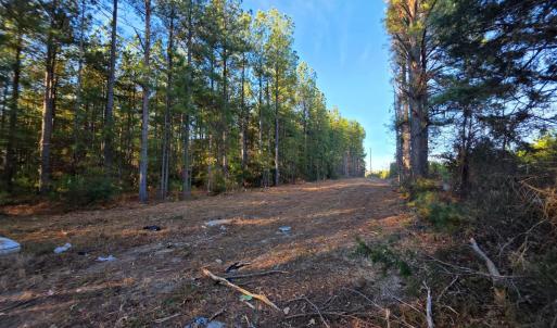 Photo #1 of Mountain Creek Road, Meherrin, VA 121.0 acres